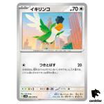 Squawkabilly [C] 086/098 SV10 The Glory of Team Rocket Pokemon Japanese