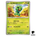 Capsakid C 020/190 SV4a Shiny Treasure Pokemon Card Japan