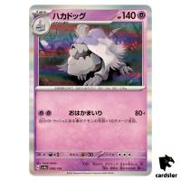Houndstone R 098/190 SV4a Shiny Treasure Pokemon Card Japan
