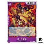 Holedem OP01-113 C ONE PIECE Card ROMANCE DAWN Japan