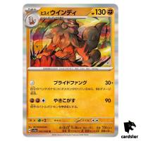 Hisuian Arcanine SV5A 042/066 Rare Crimson Haze Pokemon Card Japanese
