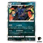 Greninja 028/055 R SM9a Night Unison Pokemon Card Japanese