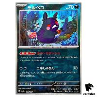 Morpeko [Master Ball Reverse Holo] 098/187 SV8a Terastal Festival Pokemon