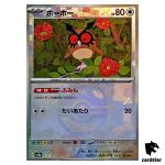 Hoothoot [Master Ball Reverse Holo] 127/187 SV8a Terastal Festival Pokemon