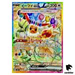 Eevee [SAR] 223/187 SV8a Terastal Festival Pokemon Japanese