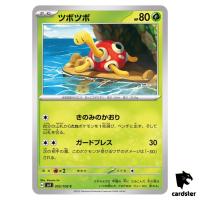 Shuckle C 005/108 Ruler of the Black Flame SV3 Japan Pokemon Card