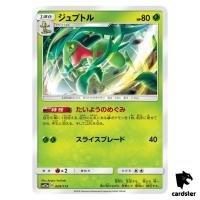 Grovyle 009/173 Tag All Stars SM12a Pokemon Card Japanese