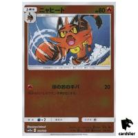 Torracat 024/173 [Reverse Holo] Tag All Stars SM12a Pokemon Card Japanese