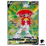 Hisuian Decidueye V SR 077/067 Battle Region s9a Pokemon Card Japanese