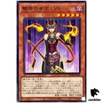 Allure Queen LV5 AC04-JP058 [N] Normal Animation Chronicle 2024 Yugioh Japan