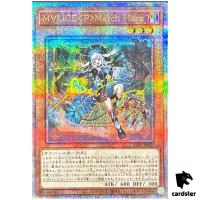 Maliss P March Hare ALIN-JP023 [QSrR] Quarter Alliance Insight Yugioh Japan