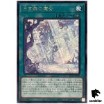 Witches of the White Forest ALIN-JP058 [R] Rare Alliance Insight Yugioh Jap