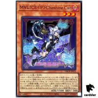 Maliss (P) Cheshire Cat DBCB-JP016 [SR] Super Rare Crossover Breakers Yugioh