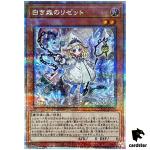 Risette of the White Woods INFO-JP014 [QSrR] Infinite Forbidden Yugioh