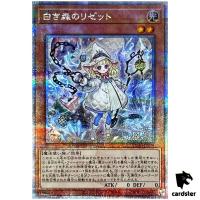 Risette of the White Woods INFO-JP014 [QSrR] Infinite Forbidden Yugioh