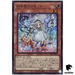 Risette of the White Woods INFO-JP014 [SR] Infinite Forbidden Yugioh