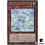Multchummy Purulia INFO-JP027 Rare [R] Infinite Forbidden Yugioh