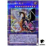 Light and Darkness Dragon Lord INFO-JP034 [QSrR] Infinite Forbidden Yugioh