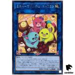 Madolche Mewgnard Meowcaron INFO-JP050 Rare [R] Infinite Forbidden Yugioh