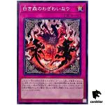 Woes of the White Woods INFO-JP071 Normal [N] Infinite Forbidden Yugioh