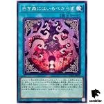 Beware the White Woods INFO-JP059 Normal [N] Infinite Forbidden Yugioh