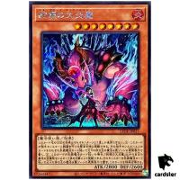 Snake-Eyes Diabellstar LEDE-JP011 [ScR] Secret Legacy of Destruction Yugioh