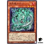 Tenpai Dragon Fadora LEDE-JP017 [N] Normal Legacy of Destruction Yugioh Japa