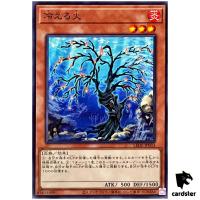 Cooling Fire LEDE-JP033 [N] Normal Legacy of Destruction Yugioh Japanese