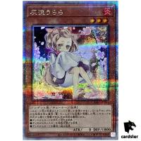 Ash Blossom Joyous Spring QCAC-JP050 [QSrR] Quarter Art Collection Yugioh
