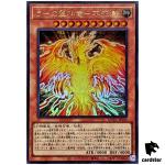The Winged Dragon of Ra Immortal Phoenix QCAC-JP100 [UR] Ultra Art Yugioh