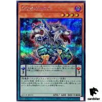 D/D Orthros QCCP-JP075 Secret [ScR] 25th Chronicle side Pride Yugioh Japan