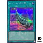 Harpies Feather Duster QCCP-JP127 Secret [ScR] side Pride Yugioh Japan
