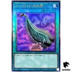 Harpies Feather Duster QCCP-JP127 Ultimate [UtR] Chronicle side Pride Yugioh