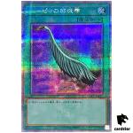 Harpies Feather Duster QCCP-JP127 Quarter [QSrR] side Pride Yugioh Japan