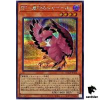 Blackwing - Shamal the Sandstorm QCCP-JP133 Secret [ScR] side Pride Yugioh