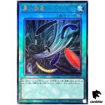 Black Whirlwind QCCP-JP142 Ultimate [UtR] Chronicle side Pride Yugioh Japan