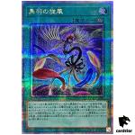 Black Feather Whirlwind QCCP-JP143 Quarter [QSrR] side Pride Yugioh Japan