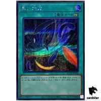Black Whirlwind QCCP-JP142 Secret [ScR] Chronicle side Pride Yugioh Japan
