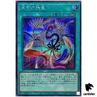 Black Feather Whirlwind QCCP-JP143 Secret [ScR] Chronicle side Pride Yugioh