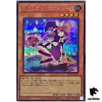 Madolche Magileine QCCP-JP145 Secret [ScR] Chronicle side Pride Yugioh Japan