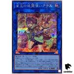 Aussa the Earth Charmer, Immovable QCCP-JP189 Secret [ScR] side Pride Yugioh