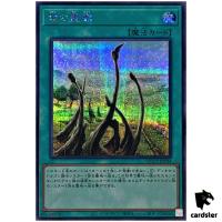 Dragon Shrine QCCP-JP194 Secret [ScR] 25th Chronicle side Pride Yugioh