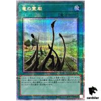 Dragon Shrine QCCP-JP194 Quarter [QSrR] 25th Chronicle sidePride Yugioh