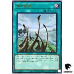 Dragon Shrine QCCP-JP194 Ultra [UR] 25th Century Chronicle side Pride Yugioh