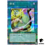 Tuning - 25th Secret QCCU-JP056 [QSrR] Quarter Century side Unity Yugioh