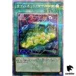 Cynet Mining 25th Secret QCCU-JP109 [QSrR] 25th Century side Unity Yugioh