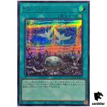 Raidraptor - Nest - Secret Rare QCCU-JP161 [ScR] 25th side Unity Yugioh