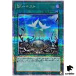 Raidraptor Nest 25th Secret QCCU-JP161 [QSrR] 25th side Unity Yugioh