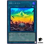 Raidraptor - Nest - Super Rare QCCU-JP161 [SR] 25th side Unity Yugioh