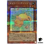 Melffy Catty 25th Secret QCCU-JP172 [QSrR] 25th Century side Unity Yugioh